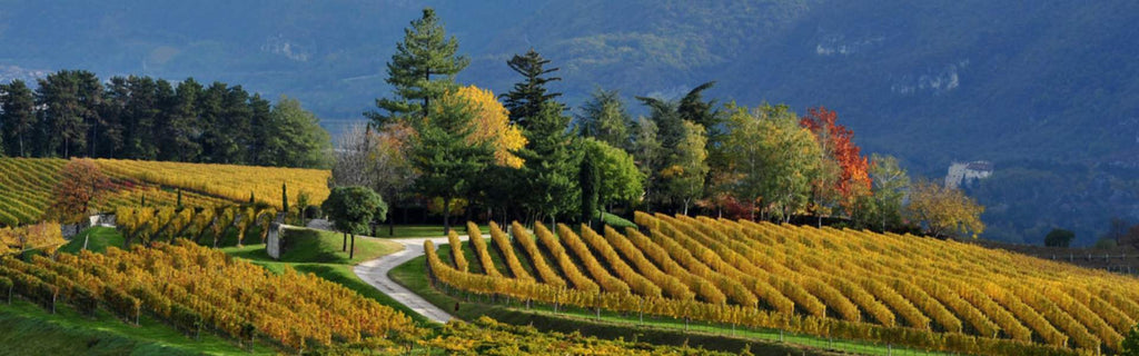 Princess Winery