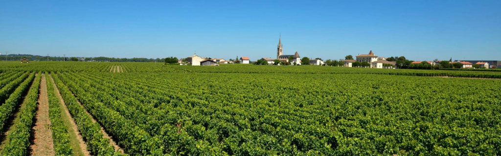 Château Guillot Clauzel
