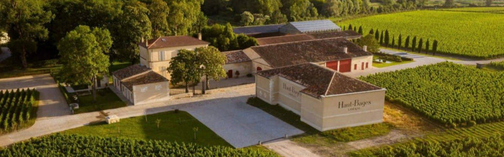 Château Haut - Bages Libéral