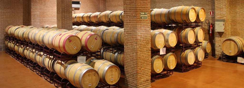 Dehesa del Carrizal