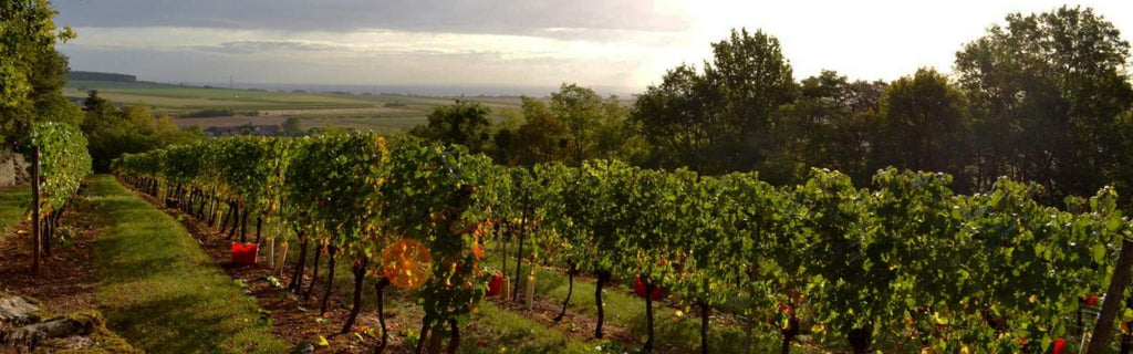 Domaine Bonnardot