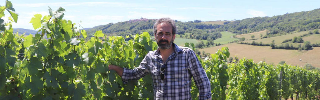 Domaine Flavigny Alesia