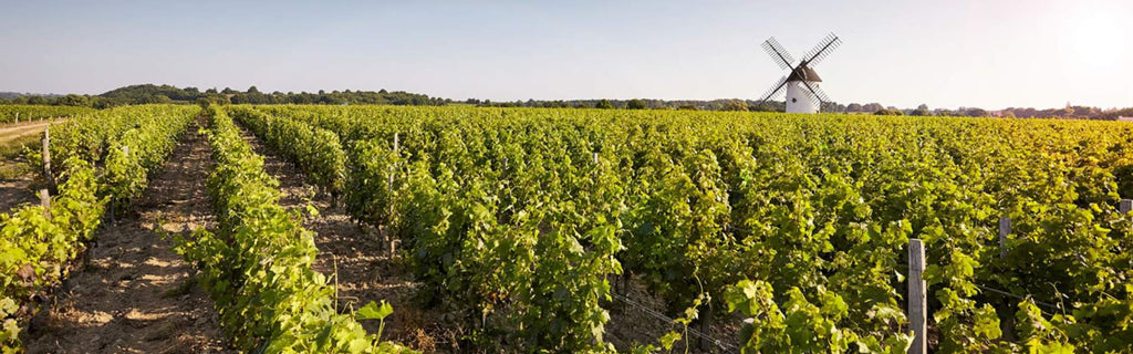 Domaines Alpha Loire