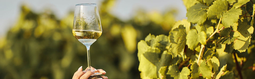 How To Cool Wine: Best Tips and Tricks