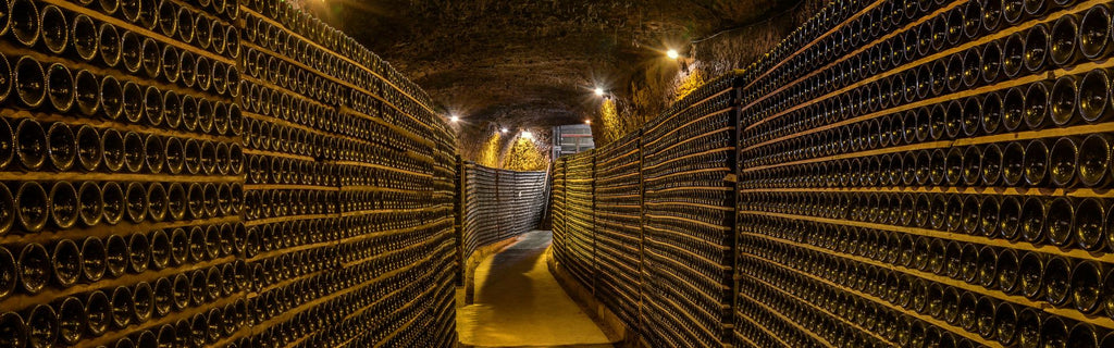 Discover How Wine is Made