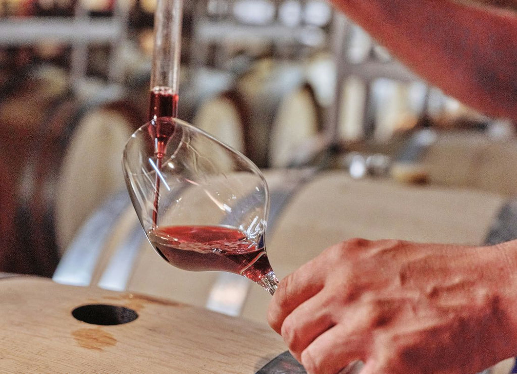 The Story Behind Our Most-Loved Natural Italian Wine