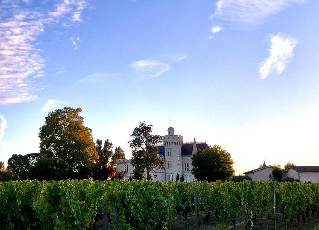 How to Choose the Right Bordeaux Wine for Your Taste
