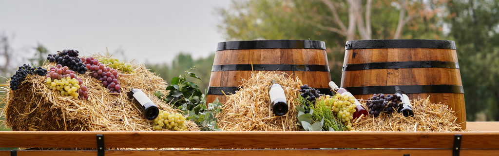 How wine is made - Step by step