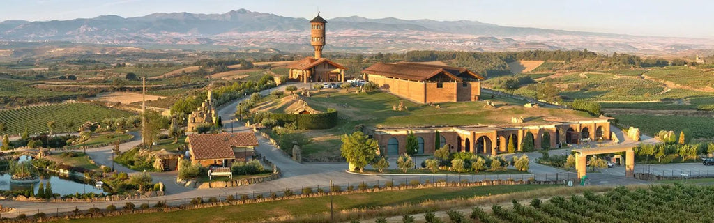 Romania to Spain: Great Value Wine Regions for Best Bang for Your Buck