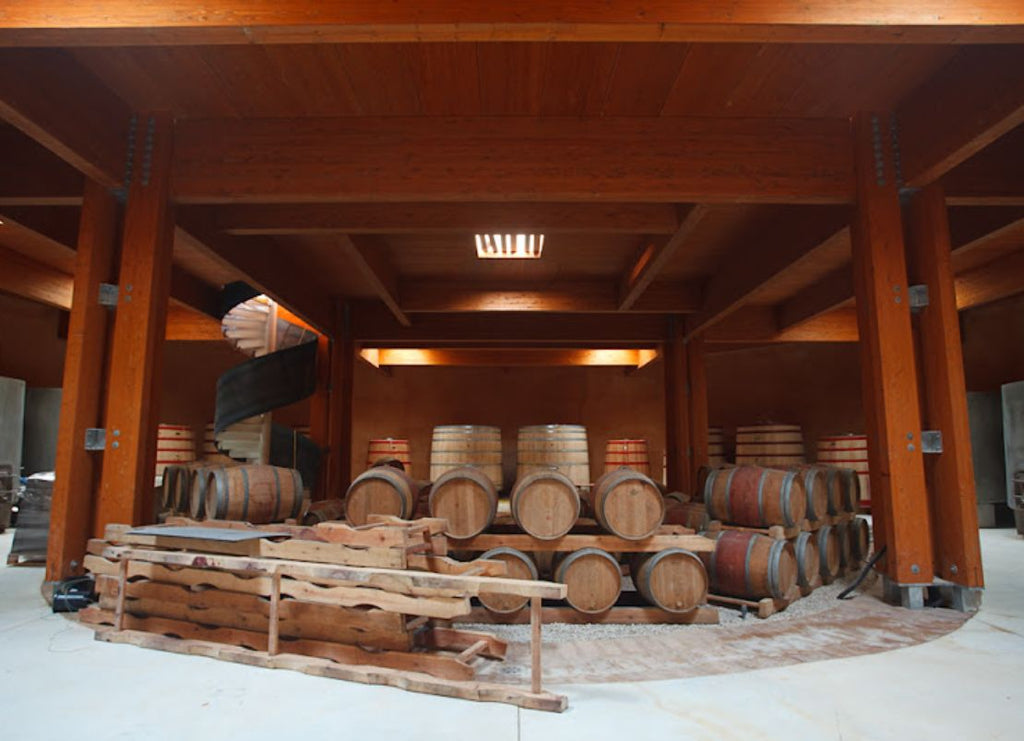 From Vineyard to Glass: The Journey of a Biodynamic Wine
