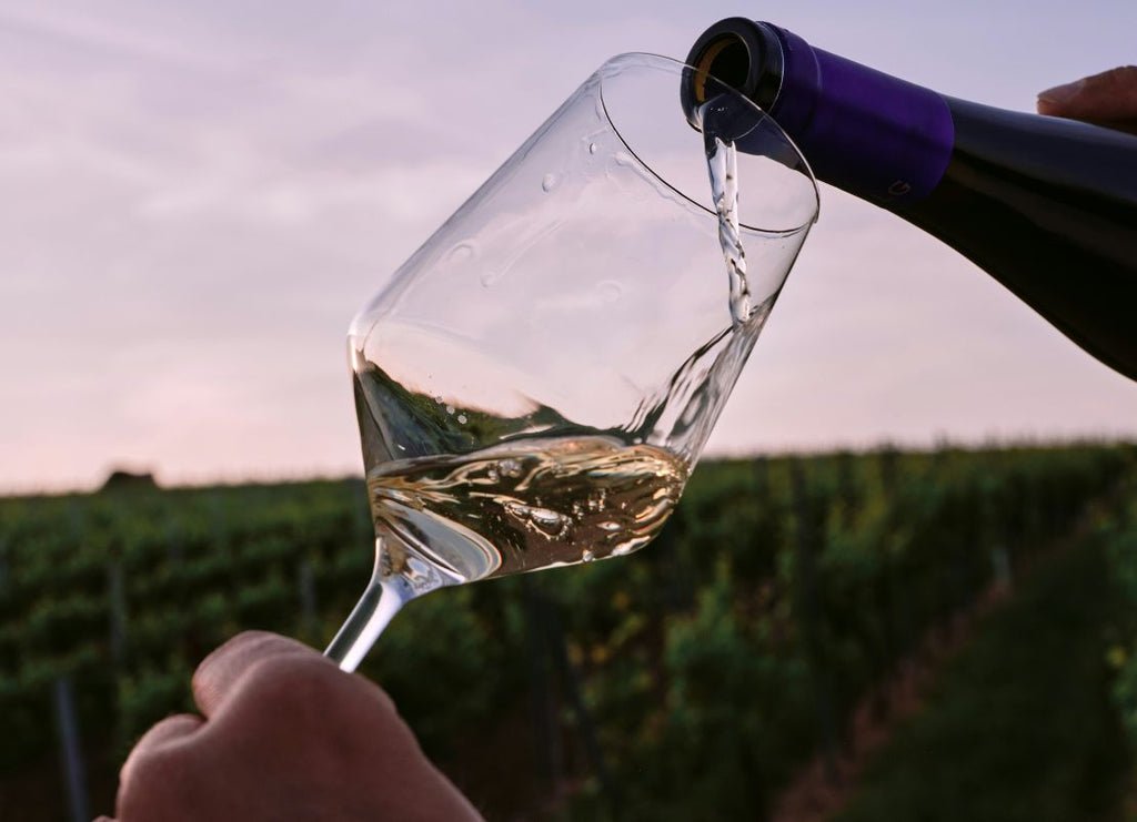 How to Choose the Right Organic Wine Based on Your Taste