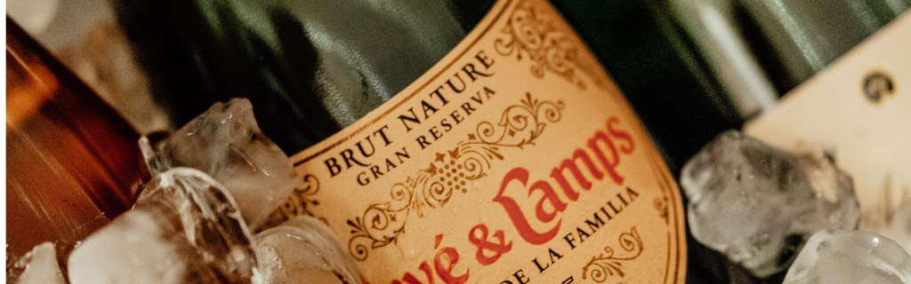 How to Preserve Your Opened Bottle. Wine Storage Secrets