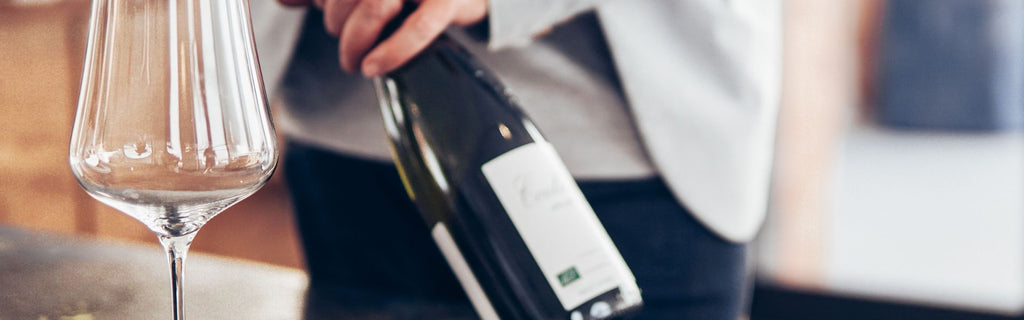 A Quick Guide to Tasting Merlot Wines
