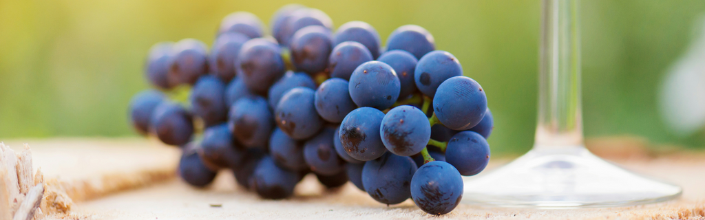 What Does Alcohol-Free Wine Taste Like?