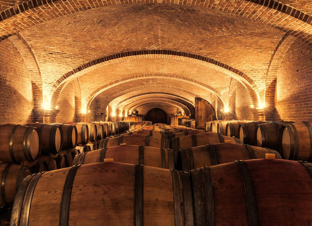 Old World vs New World Wines – A Beginner's Guide