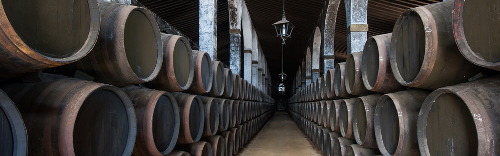 5 Wine Regions in Spain You Didn´t Know That You Need to Try This 2024