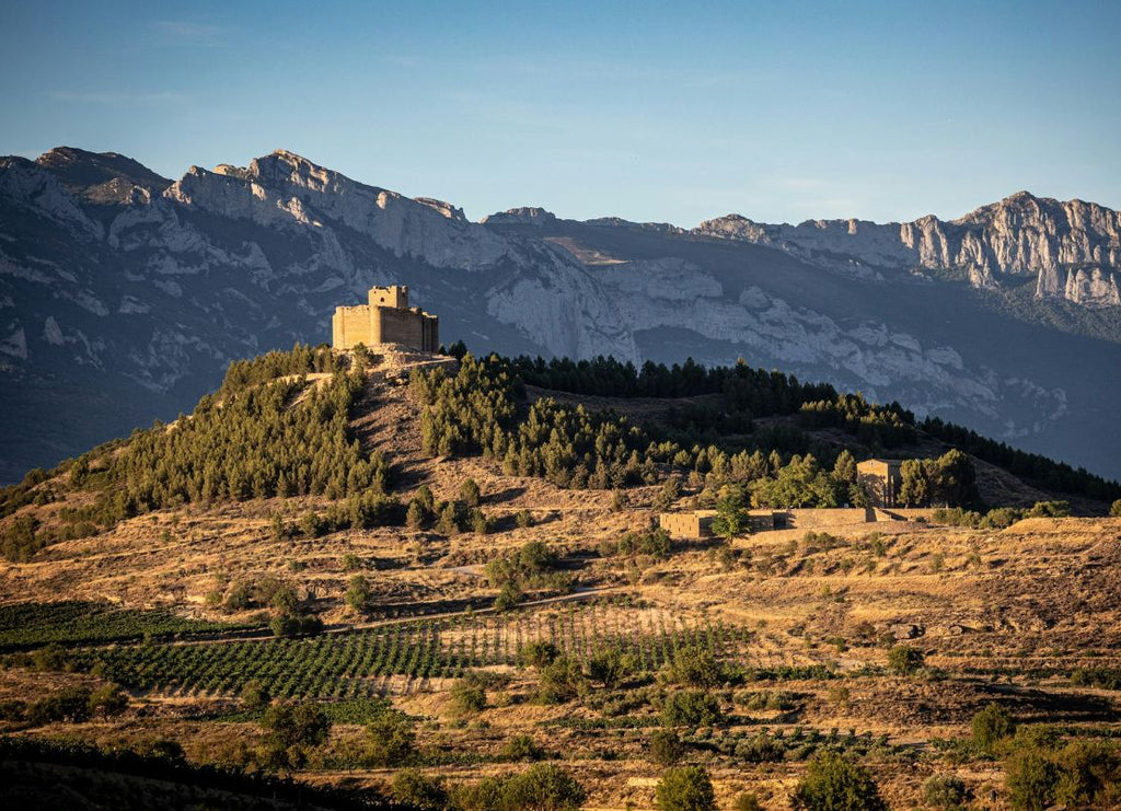 Where is Rioja Wine From?