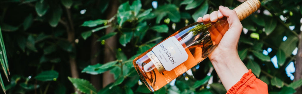 Wines for Spring: My Top Recommendations