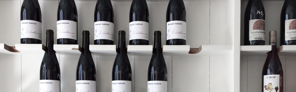 How to Store Wine Properly