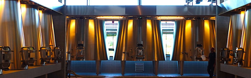 From Wine to Glass: Exploring the Wine Making Process