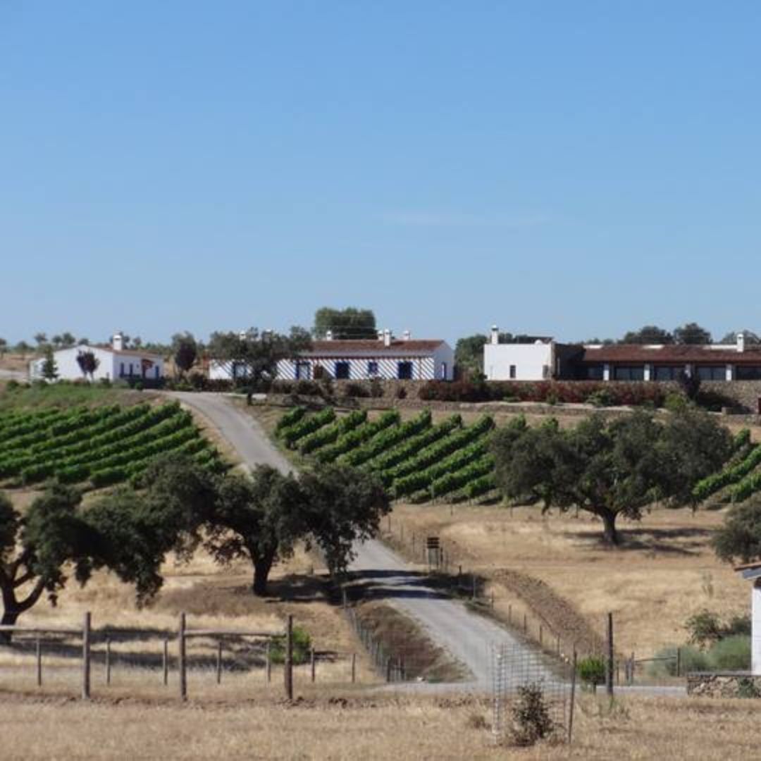 Casa da Urra Colheita Seleccionada 2017 Red Wine