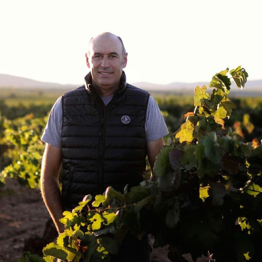 Finca Terrerazo Bobal Organic 2018 Red Wine