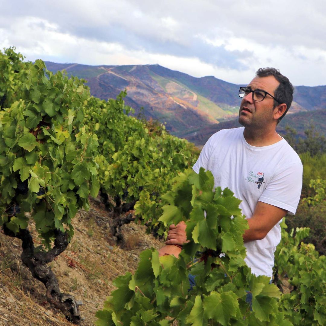 De los Abuelos Vinas Centenarias Mencia 2019 Red Wine