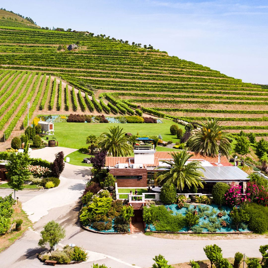 Altos de Torona Albarino 2022 White Wine