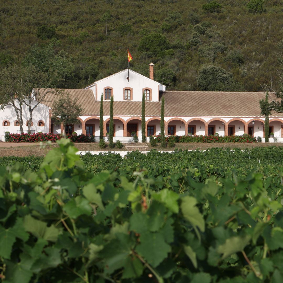 Dehesa del Carrizal Coleccion Privada 2017 Red Wine