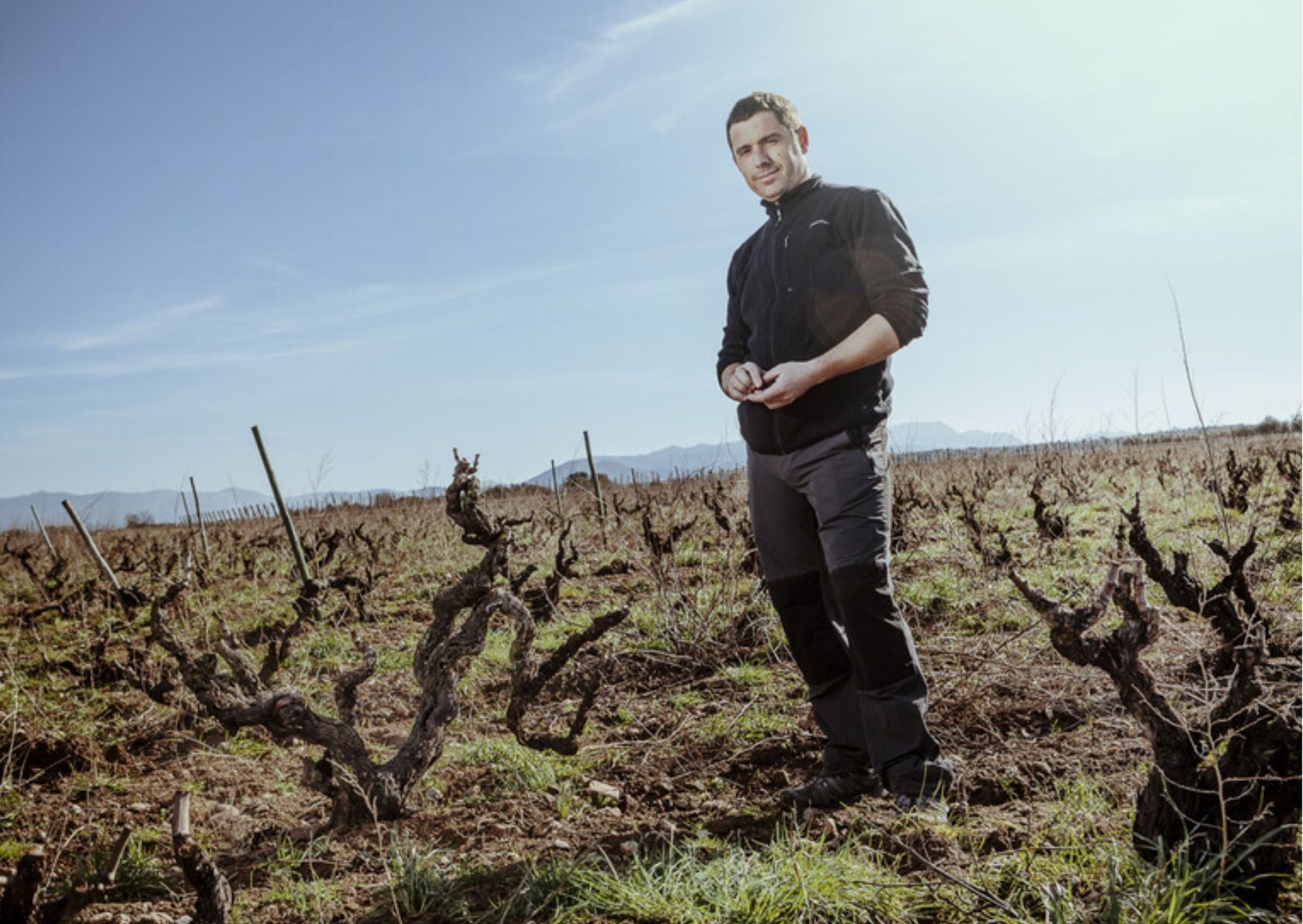 Cami de Cormes 2019 White Wine