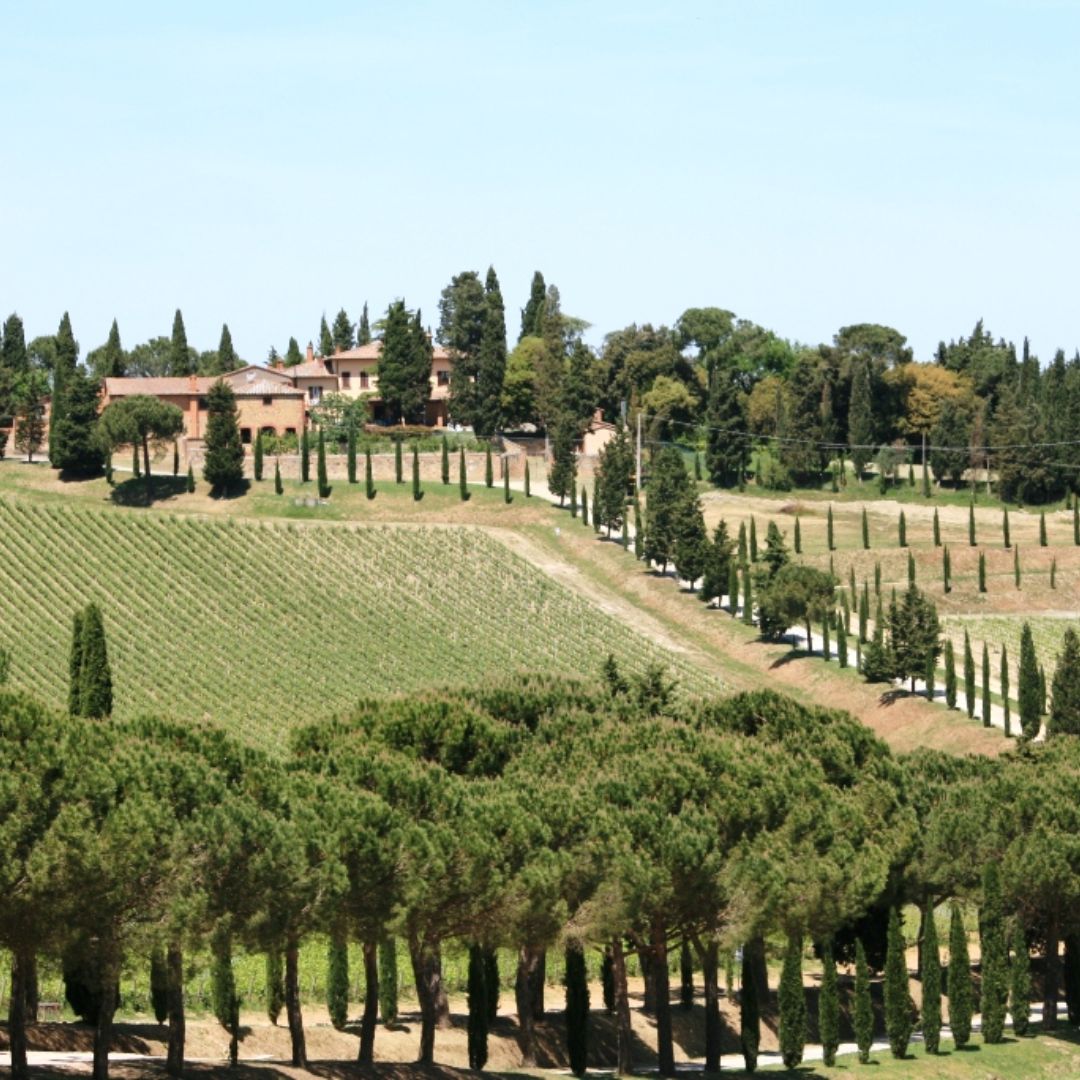 Vino Nobile di Montepulciano Riserva 2017 Red Wine