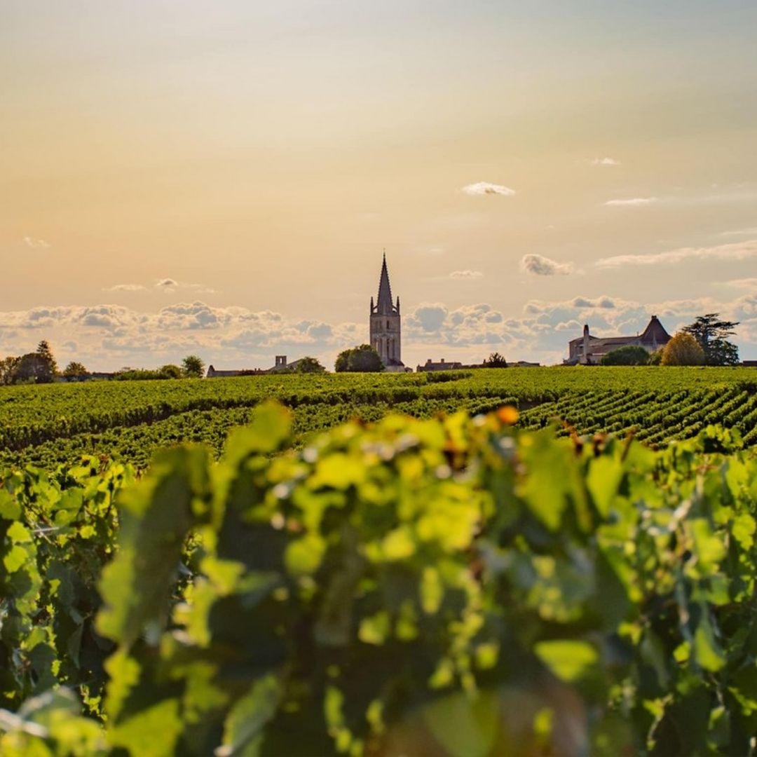 Chateau la Landotte 2017 Red Wine