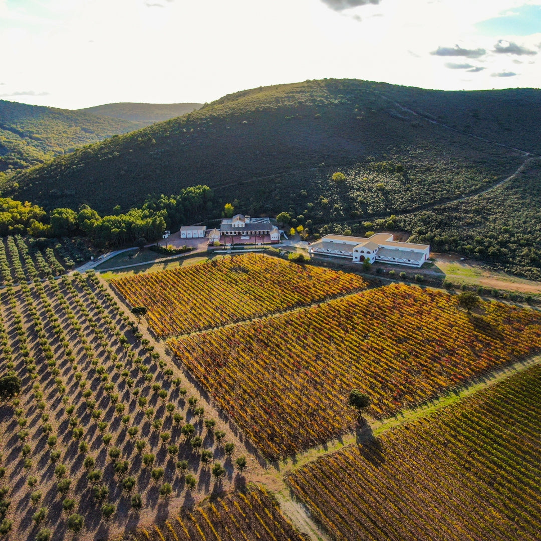 Dehesa del Carrizal Petit Verdot 2016 Red Wine