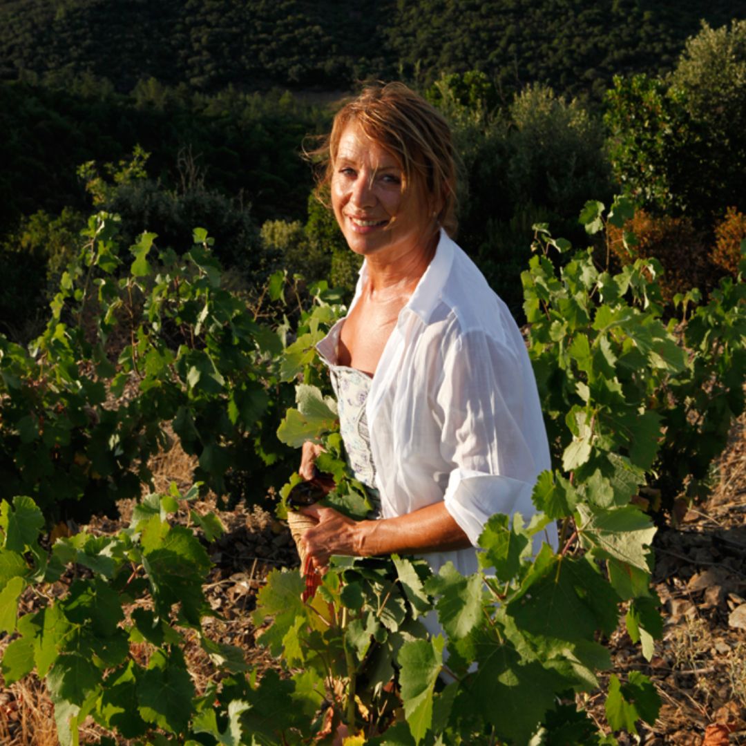 Le Chant des Griots 2020 White Wine