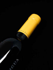 Finca Antigua Moscatel 2019 Sweet White Wine