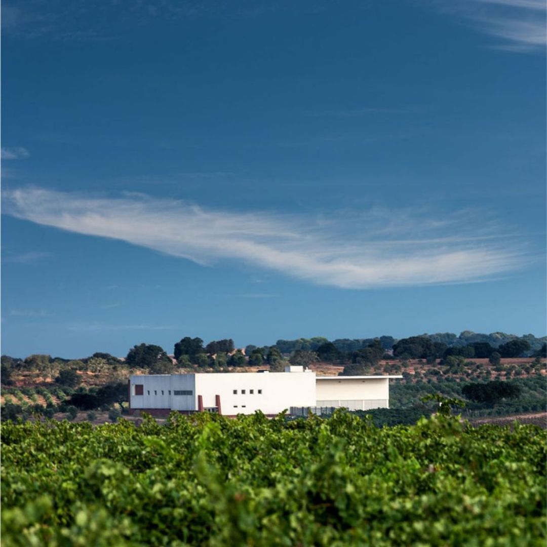 Mingorra Colheita Tinto 2019 Red Wine