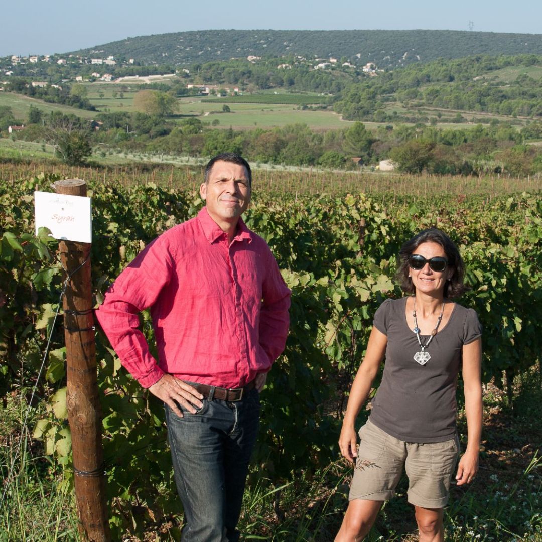 L Optimiste Rouge Organic 2019 Red Wine