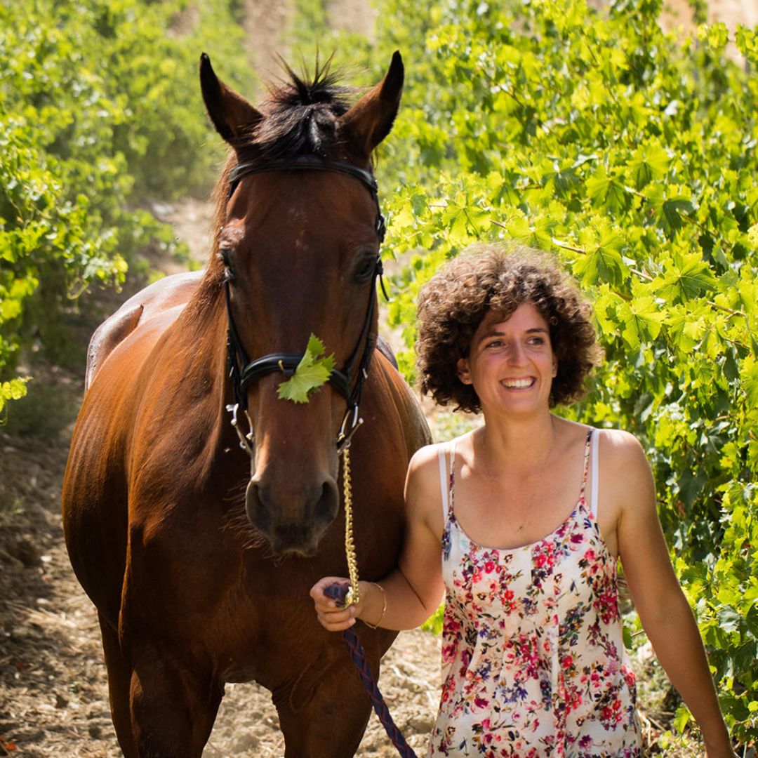 Nero d'Avola A Zita Cu Zitu Organic 2019 Red Wine
