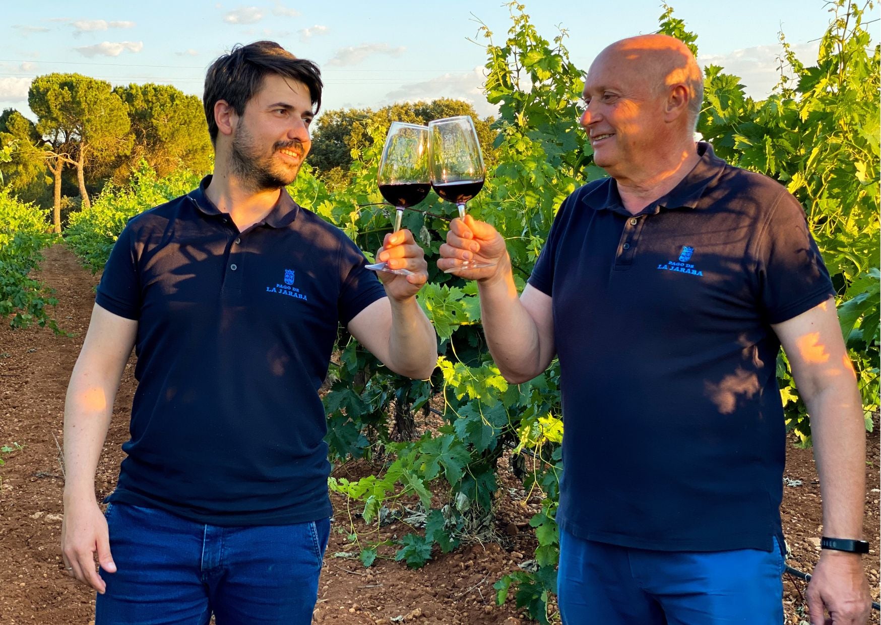 Jaraba Selección Especial 2019 Red Wine