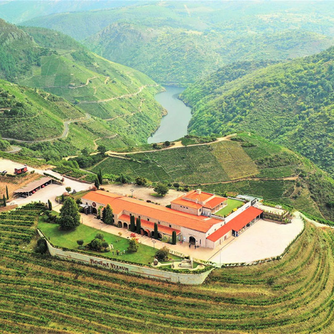 Regina Expresi¢n Mencia 2018 Red Wine