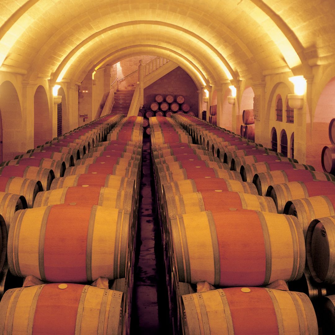 Senorio San Vicente 2017 Red Wine