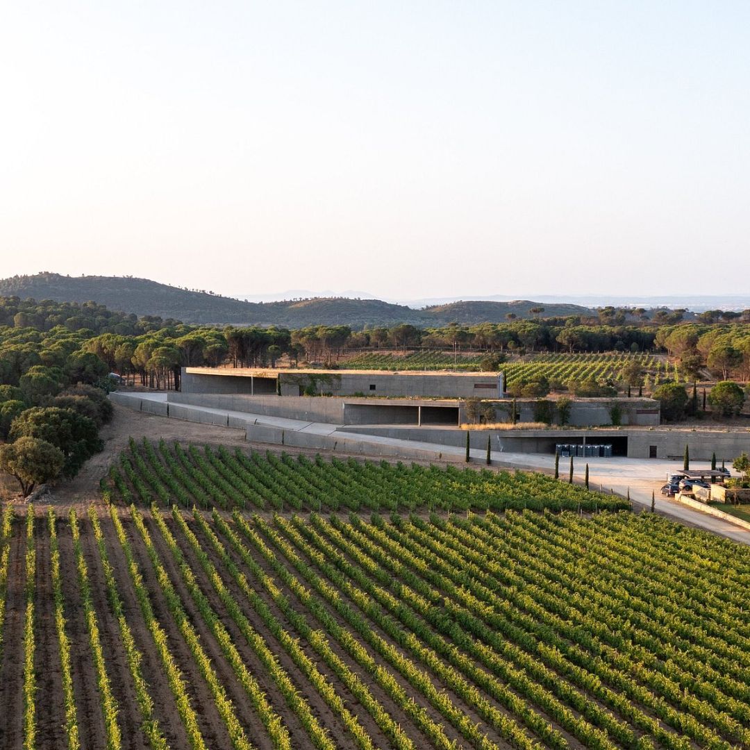 GG Organic 2019 Red Wine