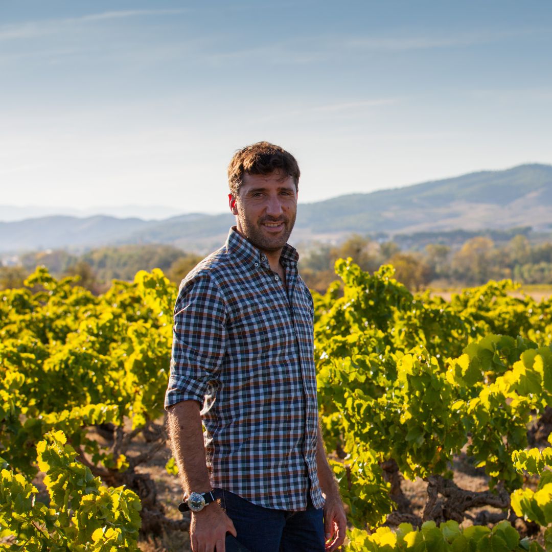 El Inquilino Viura 2018 White Wine