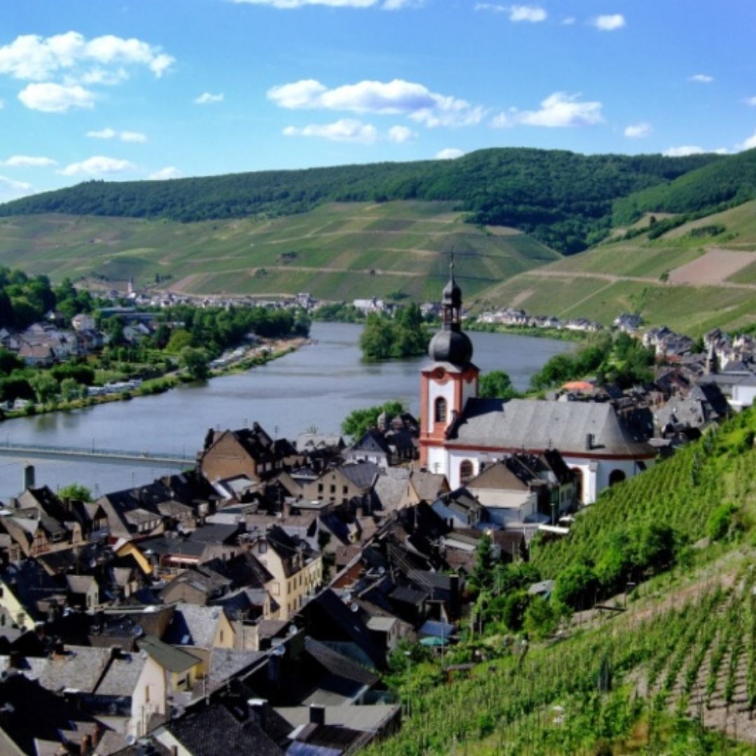 Riesling nr.420 Organic 0.0% White Wine