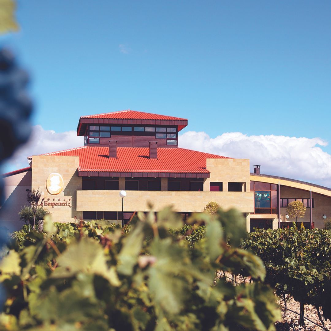 Finca la Emperatriz Gran Vino 2016 White Wine