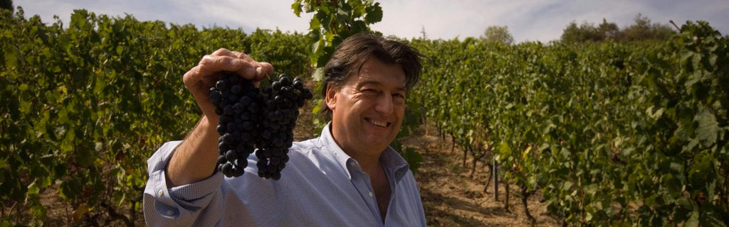 Domaine Jean-Luc Colombo