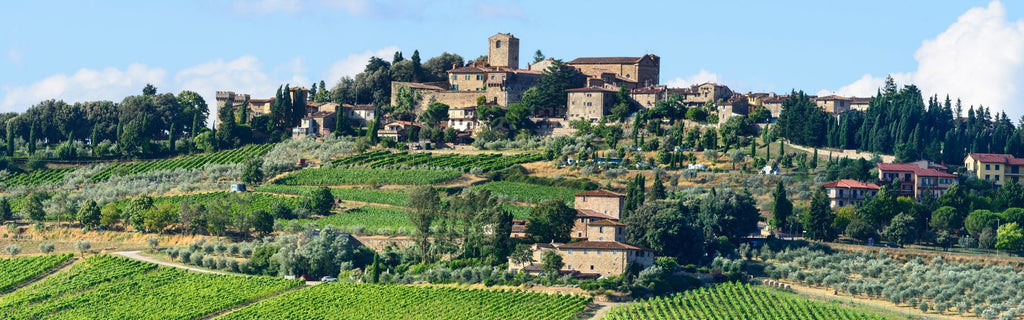 All You Need to Know About Italian Wines