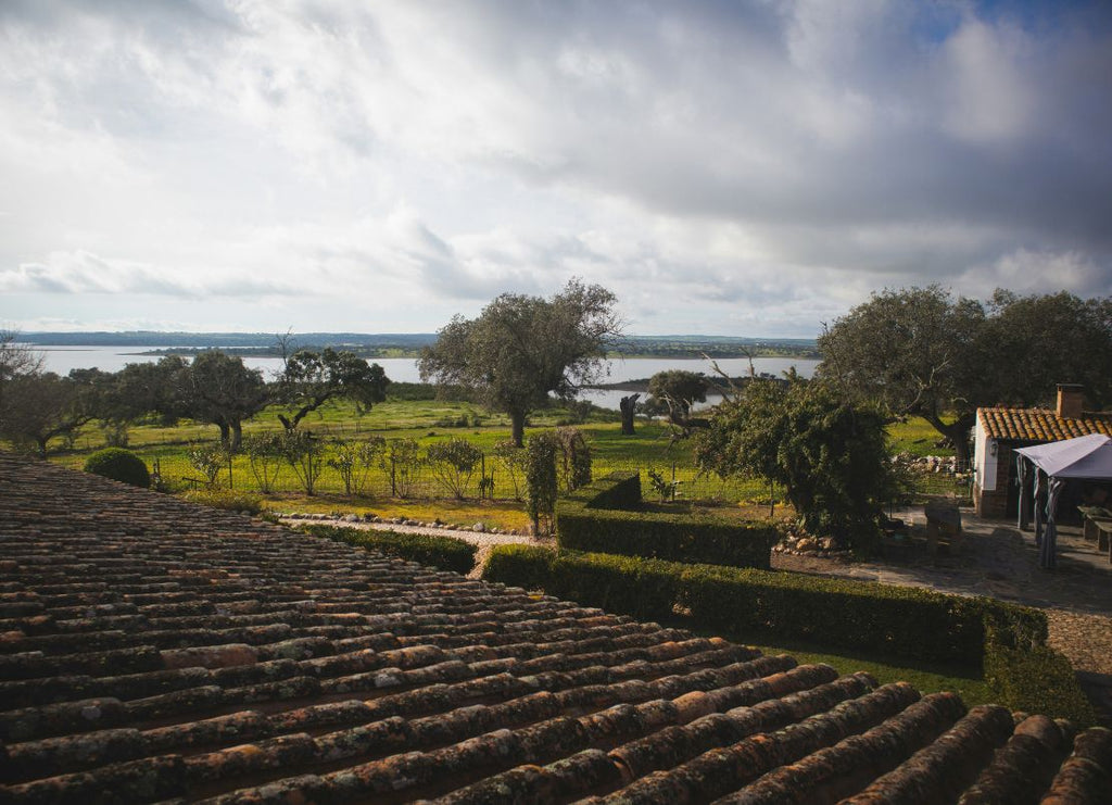What Is Alentejo Wine? Portugal's Most Exciting Region, Explained