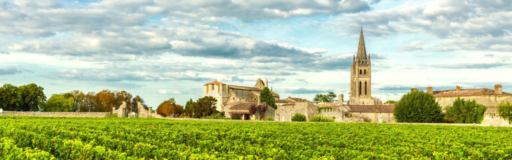 Modern Bordeaux: A Tale of Tradition and Trends