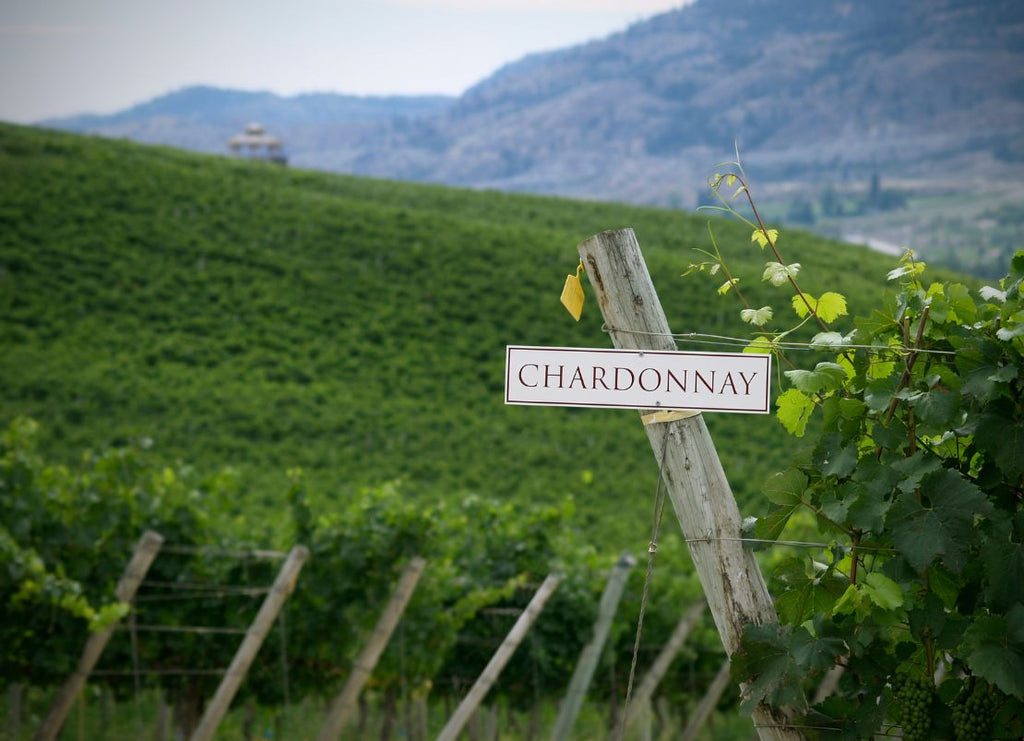 Non-Alcoholic Chardonnay: What Happens to Chardonnay When the Alcohol Is Removed?